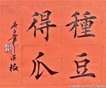 楷书作品-种豆得瓜